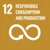 12. RESPONSIBLE CONSUMPTION AND PRODUCTION
